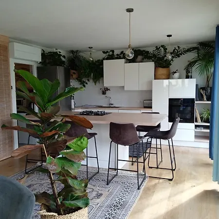 Holiday home Maison Boheme Chic, Saint-pair Sur Mer, 7 Pers, 15 Mn A Pieds De La Plage, Navette Gratuite *